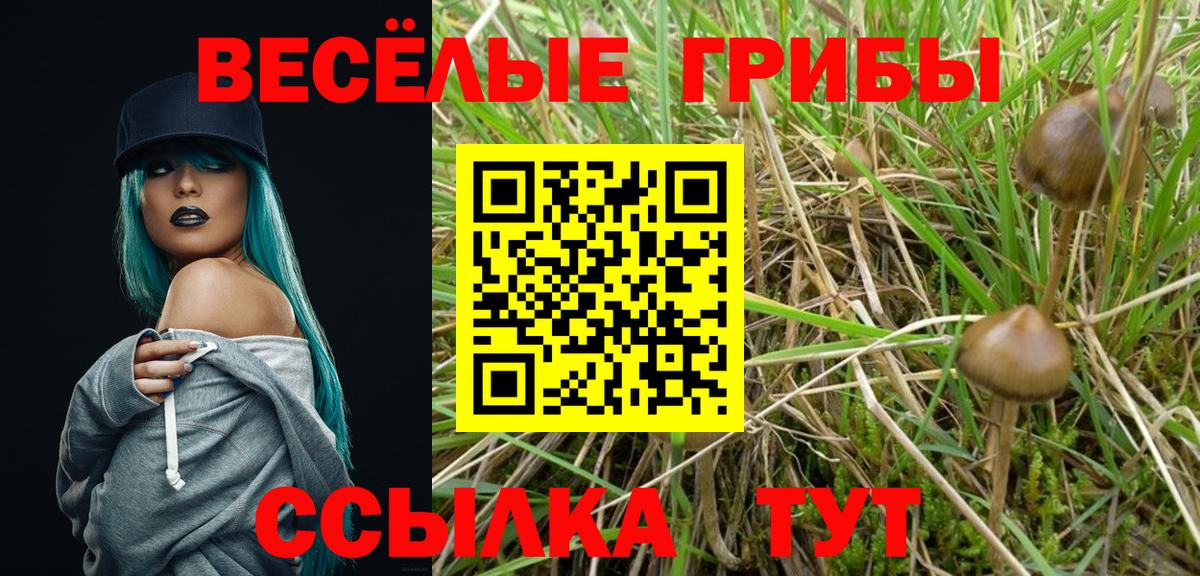 Псилоцибиновые грибы MAGIC MUSHROOMS Лесосибирск